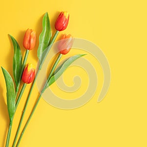 Mother`s day background concept. Top view design of holiday greeting tulip flower bouquet on bright yellow table