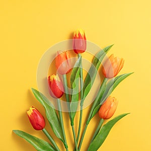 Mother`s day background concept. Top view design of holiday greeting tulip flower bouquet on bright yellow table