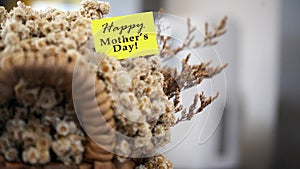 Mother\'s Day Card on a bunch of white cream edelweiss dried bouquet on a natural wooden basket. Happy Mother\'s Day