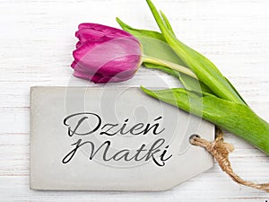 Mother`s day card with Polish words: Dzien Matki - Mother`s Day.