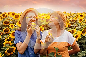 Mother`s Day concept. Senior mother and her daughter doing manicure and make-up out of petals in sunflower field
