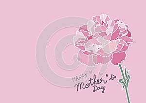 Mother`s day design and pink carnation flower on pink background