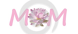 Mother\'s Day Image Pink and White Lotus Flower