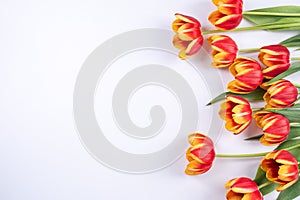 Mother`s Day, Valentine`s Day background, tulip flower bunch - Beautiful Red, yellow bouquet isolated on white table, top view,