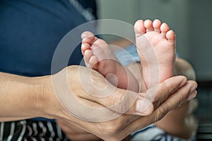 The mother`s hand graced the feet of the newborn photo