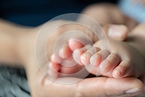 The mother`s hand graced the feet of the newborn photo