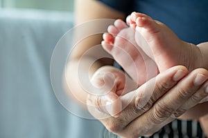 The mother`s hand graced the feet of the newborn photo