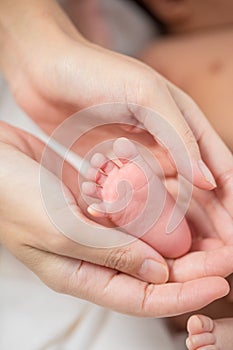 Mother`s hand holding infant baby boy`s feet with care.