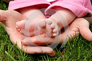 Mother's hands cradling her infant photo