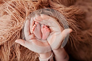 Mother`s hands hold the small legs of her newborn baby on a beige background