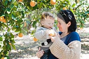 Mother and son, collect oranges together, fruit orange grove, organic farm, Israel