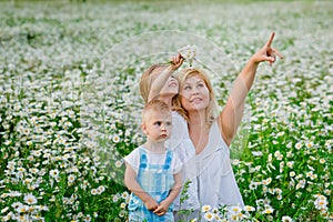 Mother, son and daughter in nature, a meadow with daisies. Children and mother in a blooming field of chamomiles. The family has