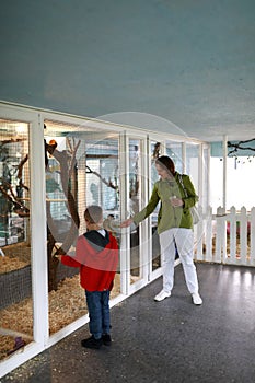Mother with son feeding monkey