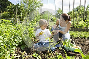 Mother And Son Gardening