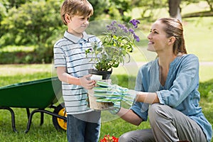 Mother and son gardening