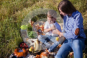 Mother and son at a picnic outdoors eating holiday