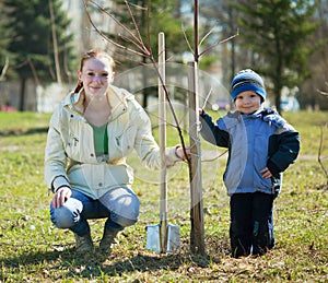 Madre un un figlio piantare un albero 