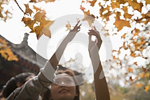 Mother and son reaching for a leaf on a branch in the autumn