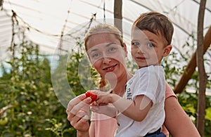 Mother and son in the tomato hothouse