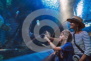 Mother and son walking in indoor huge aquarium tunnel, enjoying a underwater sea inhabitants, showing an interesting to each other