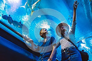 Mother and son walking in indoor huge aquarium tunnel, enjoying a underwater sea inhabitants, showing an interesting to each other