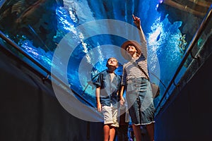 Mother and son walking in indoor huge aquarium tunnel, enjoying a underwater sea inhabitants, showing an interesting to each other