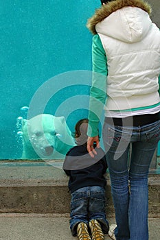 Mother and son watching bear