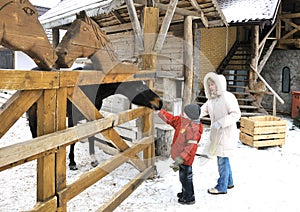 Mother and sons feed a horse in winter