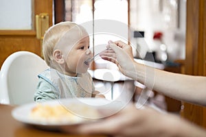 Mother spoon feeding her infant baby boy child sitting in high chair at the dining table in kitchen at home