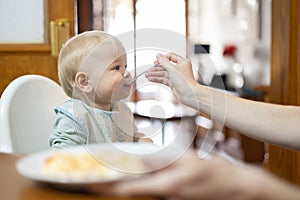 Mother spoon feeding her infant baby boy child sitting in high chair at the dining table in kitchen at home