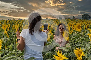 Mother taking photos of daughter in a field surrounded by sunflowers