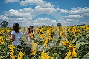 Mother taking photos of daughter in a field surrounded by sunflowers