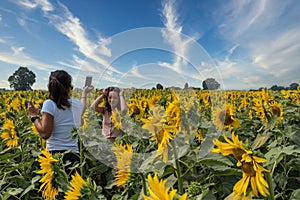 Mother taking photos of daughter in a field surrounded by sunflowers