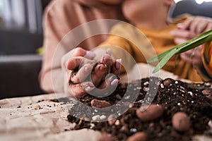 Mother teaching her little male child to replacing flowers to the pots at home