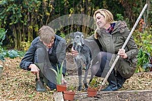 Mother and Teenage Son, Woman and Boy, Gardening