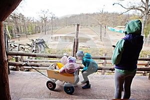 Mother with three kids discovering and watching animals at zoo