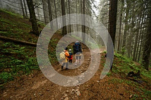 Mother with two children and backpacks in the forest, hiking with children, tourists in the fog between tall trees.