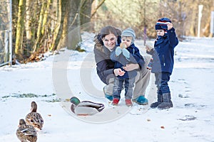 Mother and two little siblings boys feeding ducks in winter.