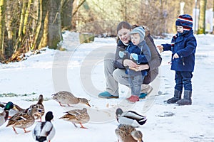 Mother and two little siblings boys feeding ducks in winter.