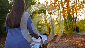 Mother walking with baby with in the stroller in park autumn. Child in a modern perambulator. Maternity concept. Medium