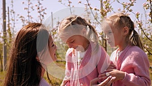 Mother walking and playing with her twin daughters in an Apple orchard in spring