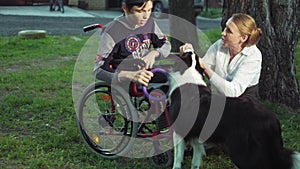 Mother walks with her son in a wheelchair with a dog