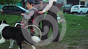 Mother walks with her son in a wheelchair with a dog
