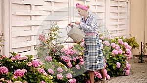 Mother while working in backyard. Smiling woman holds watering can on flowers background against pink hydrangea. Woman