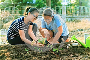 mother and young daughter planting vegetable in home garden field use for people family and single mom relax outdoor activities photo