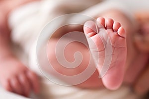 Mothercare newborn concept. Mother holding baby feet photo