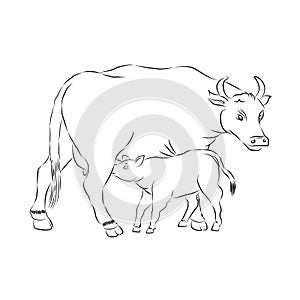 Motherhood. Mother And Child. Cow And Calf Outline Vector Silhouette Illustration.