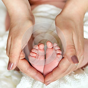 Mothering. Small newborn baby legs in mothers  lovely hand with soft focus. Family love