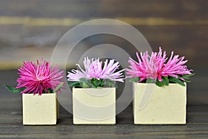 Mothers Day card with flowers in gift boxes