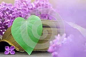 Mothers Day card with heart shaped leaf and lilac flowers